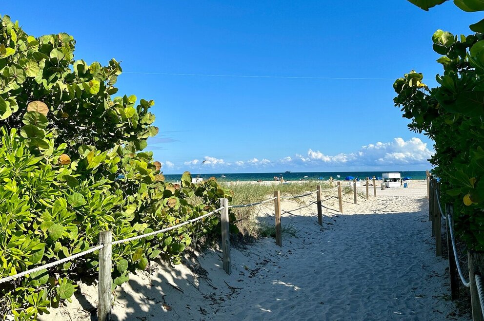 a sandy path leads to the beach