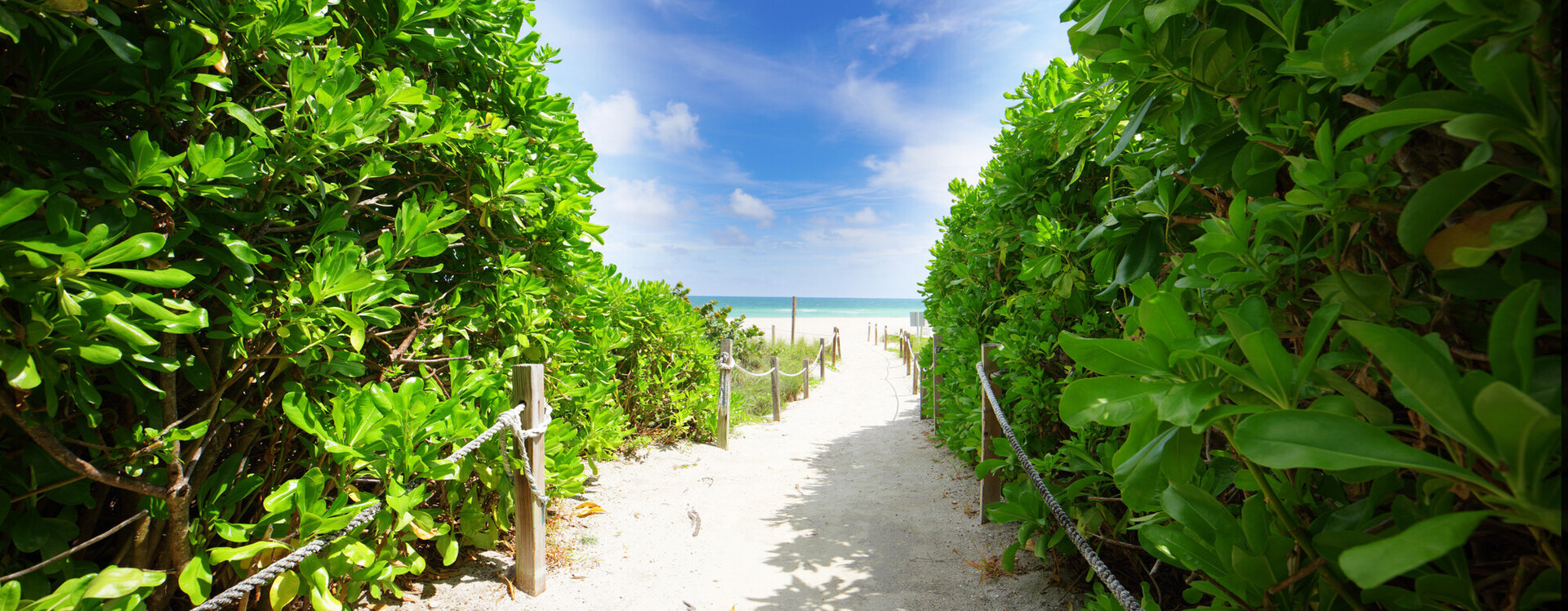 Walkway down to Miami Beach