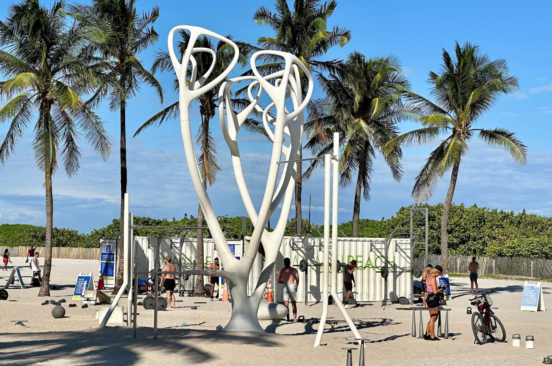 beach gym